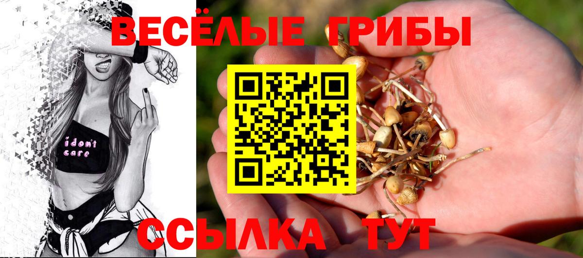 Галлюциногенные грибы Cubensis Зеленокумск
