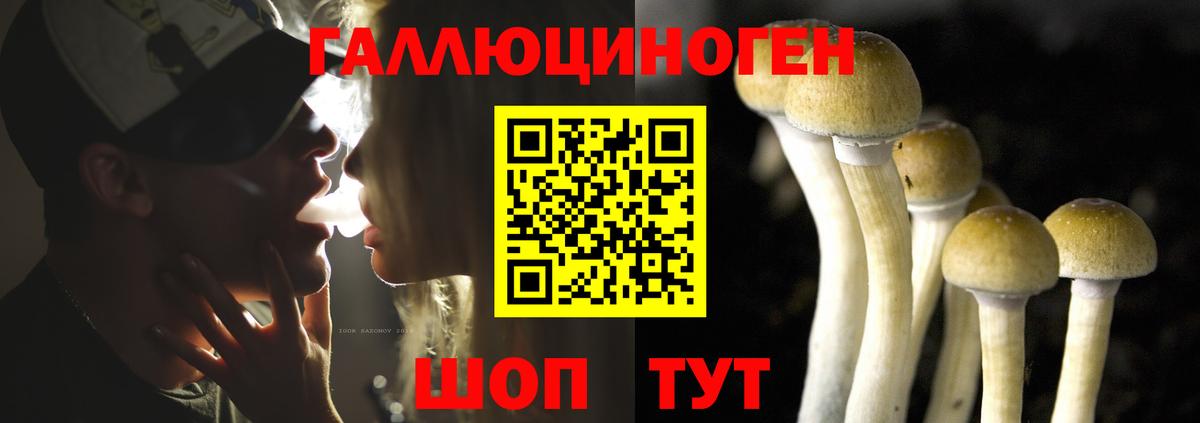 Псилоцибиновые грибы MAGIC MUSHROOMS  Галлюциногенные грибы Psilocybe  магазин  наркотиков  Зеленокумск  Вход с VPN 